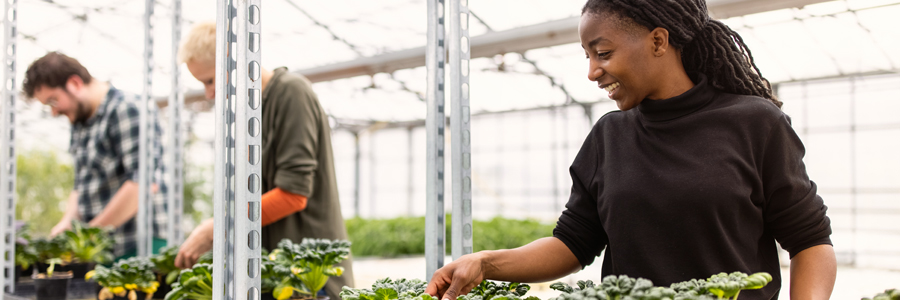 Investing in a sustainable world